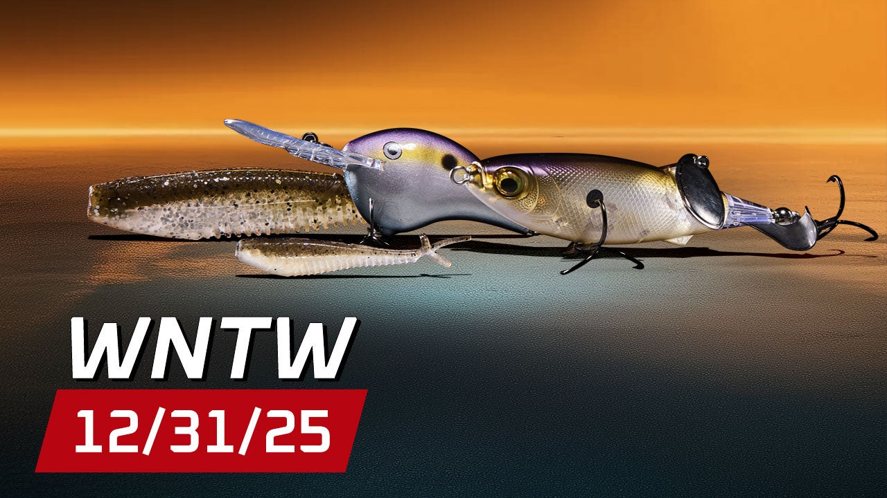 What's New at Tackle Warehouse 12/31/25