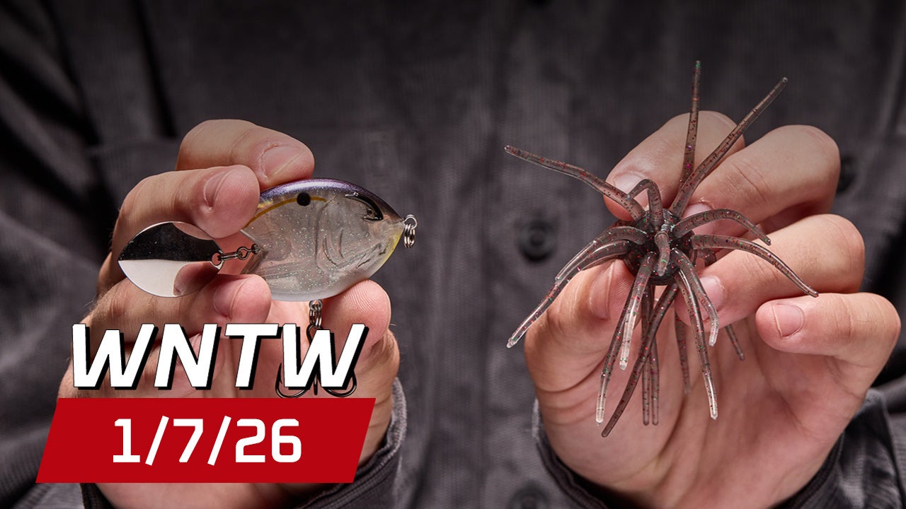 What's New at Tackle Warehouse 1/7/26