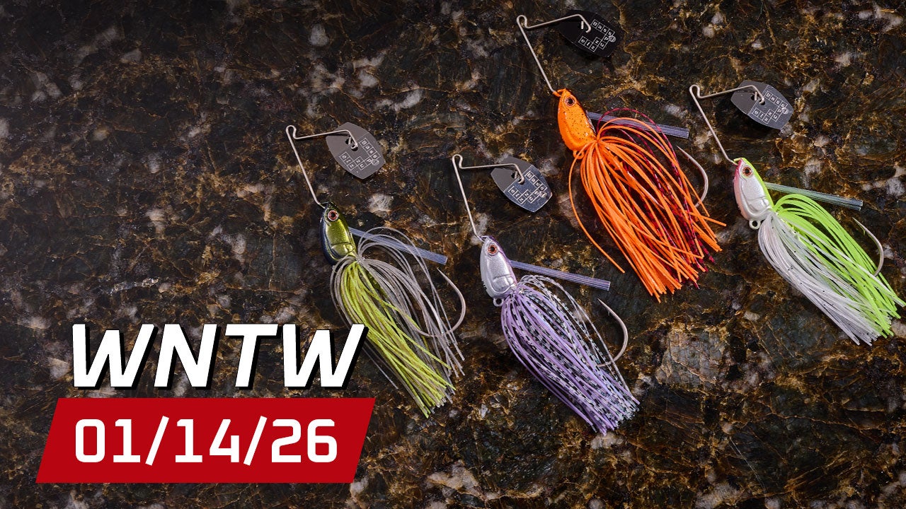 What's New at Tackle Warehouse 1/14/26