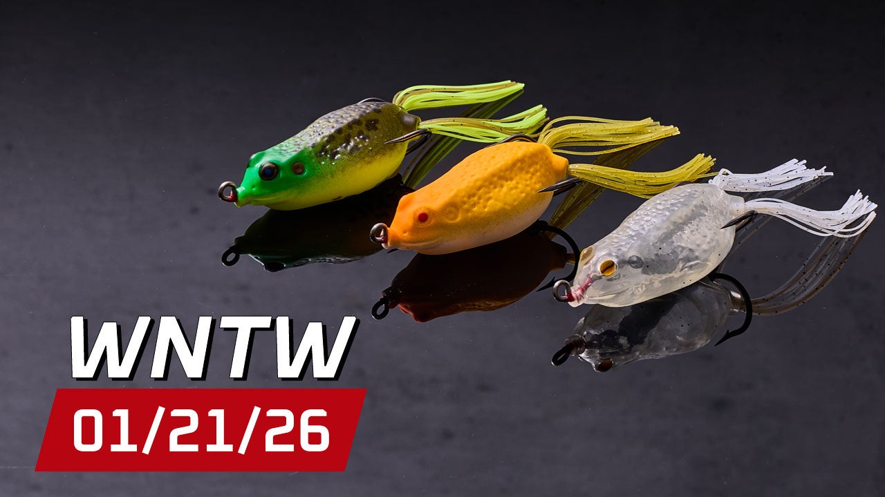 What's New at Tackle Warehouse 1/21/26