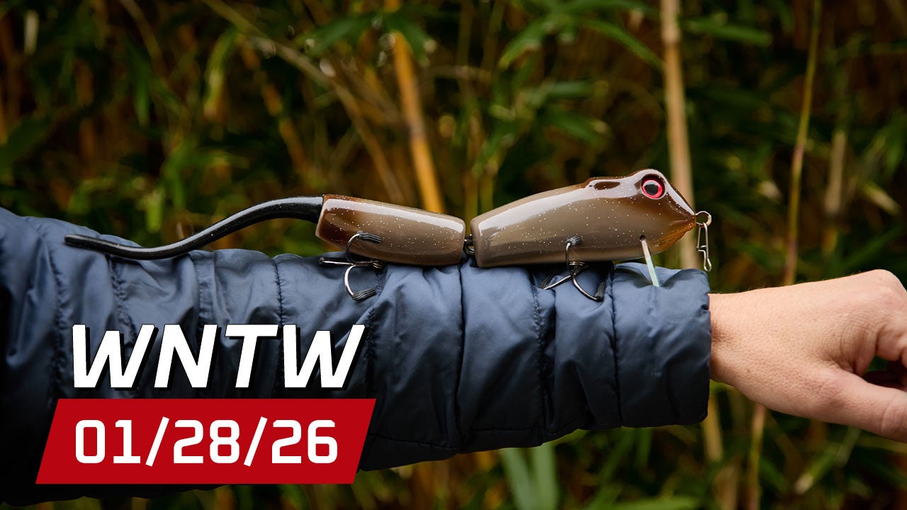 What's New at Tackle Warehouse 1/28/26