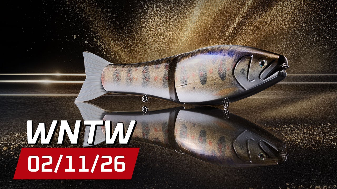 What's New at Tackle Warehouse 2/11/26