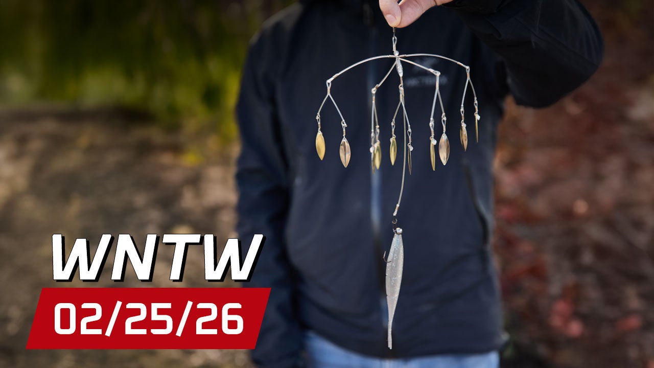 What's New at Tackle Warehouse 2/25/26