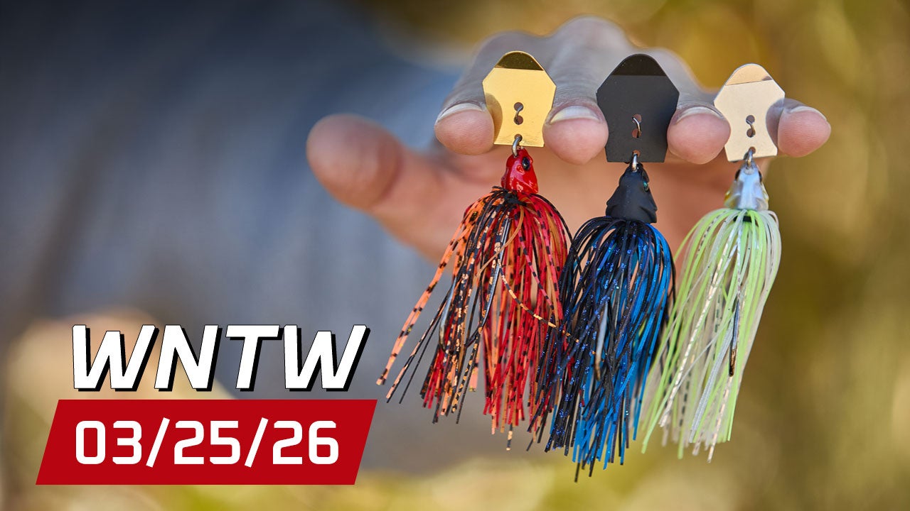 What's New at Tackle Warehouse 3/25/26