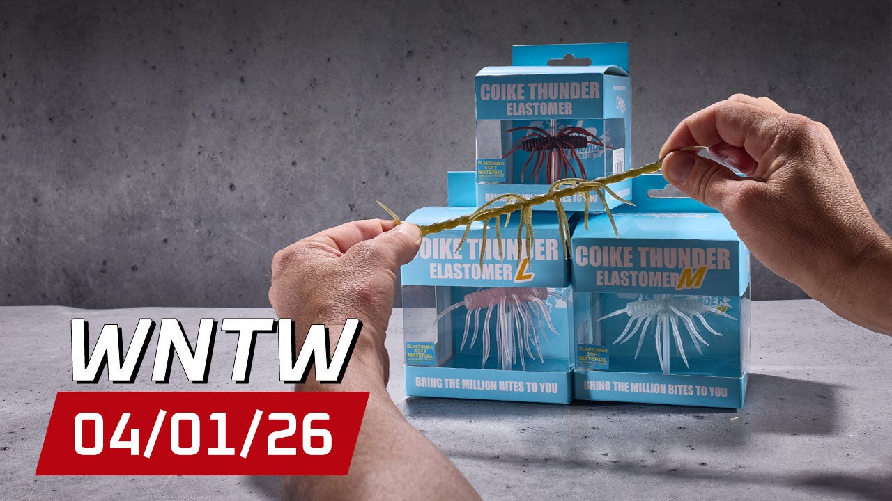 What's New at Tackle Warehouse 4/01/26