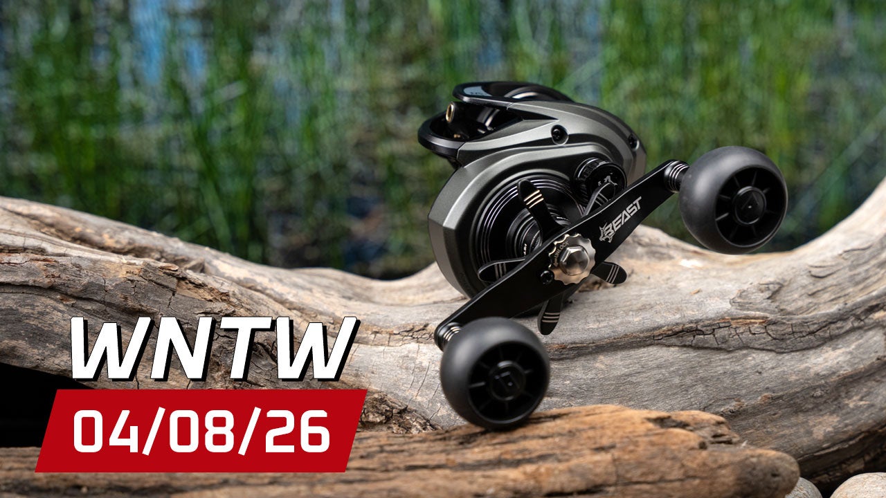 What's New at Tackle Warehouse 4/8/26