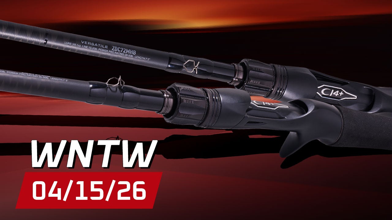 What's New at Tackle Warehouse 4/15/26