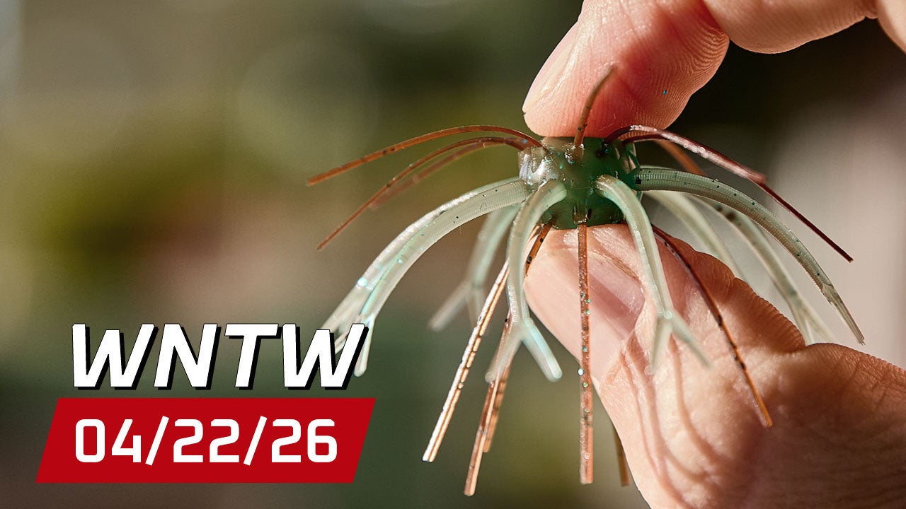What's New at Tackle Warehouse 4/22/26