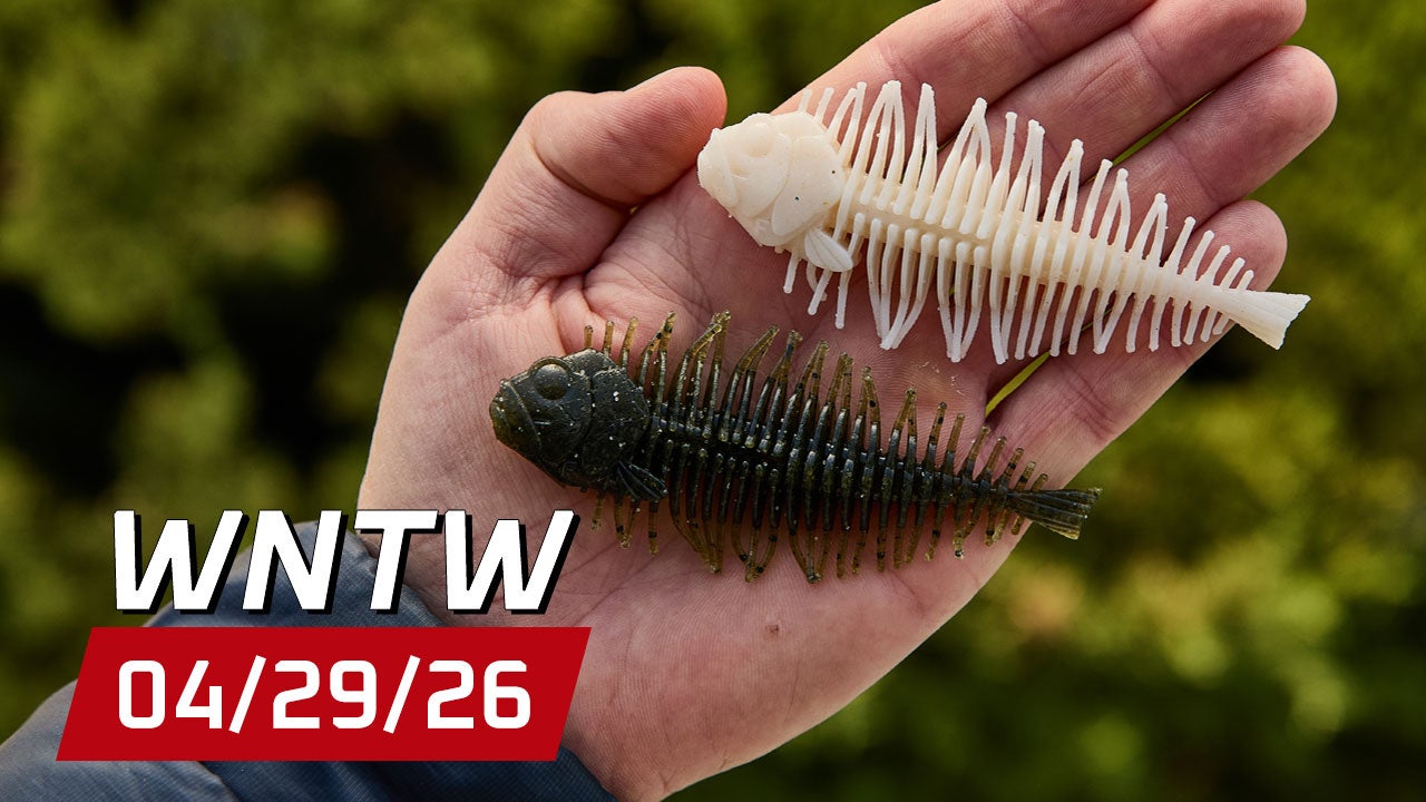 What's New at Tackle Warehouse 4/29/26