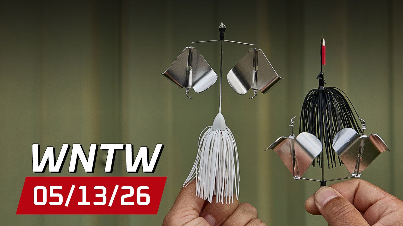 What's New at Tackle Warehouse 5/13/26