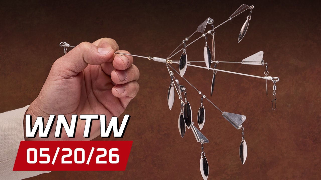 What's New at Tackle Warehouse 5/20/26