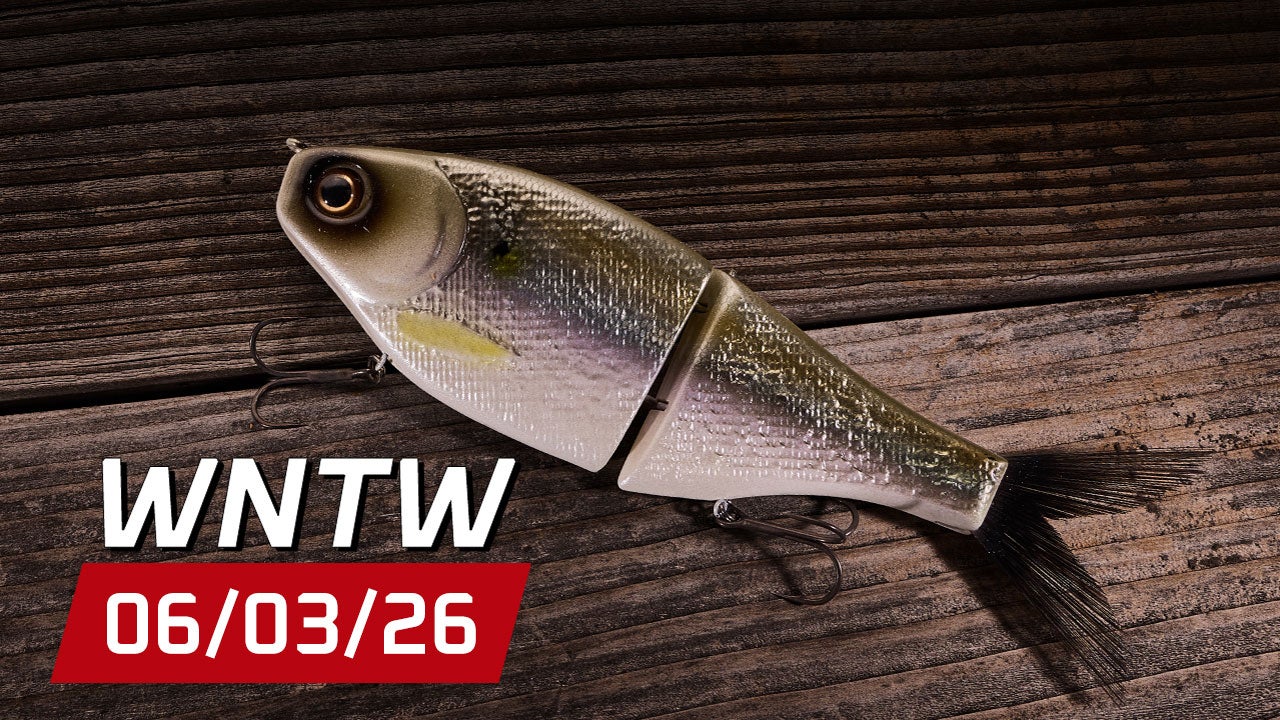 What's New at Tackle Warehouse 6/3/26