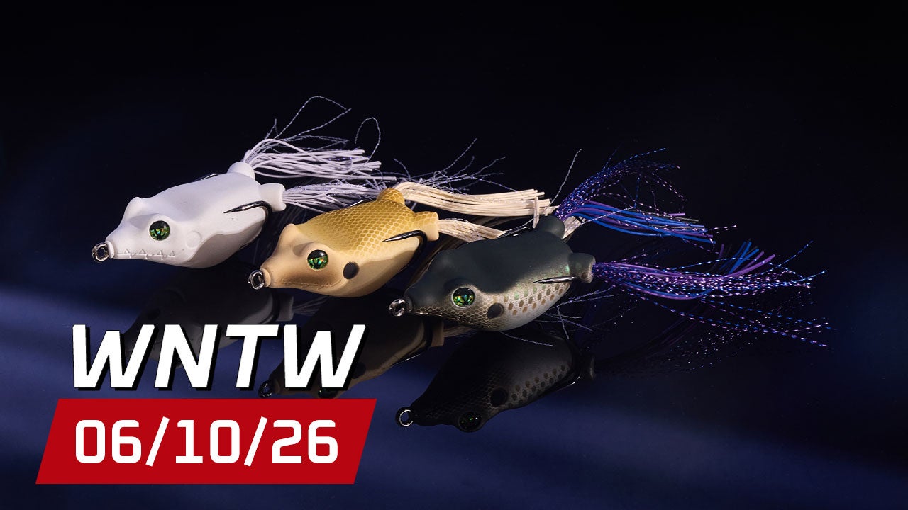 What's New at Tackle Warehouse 6/10/26