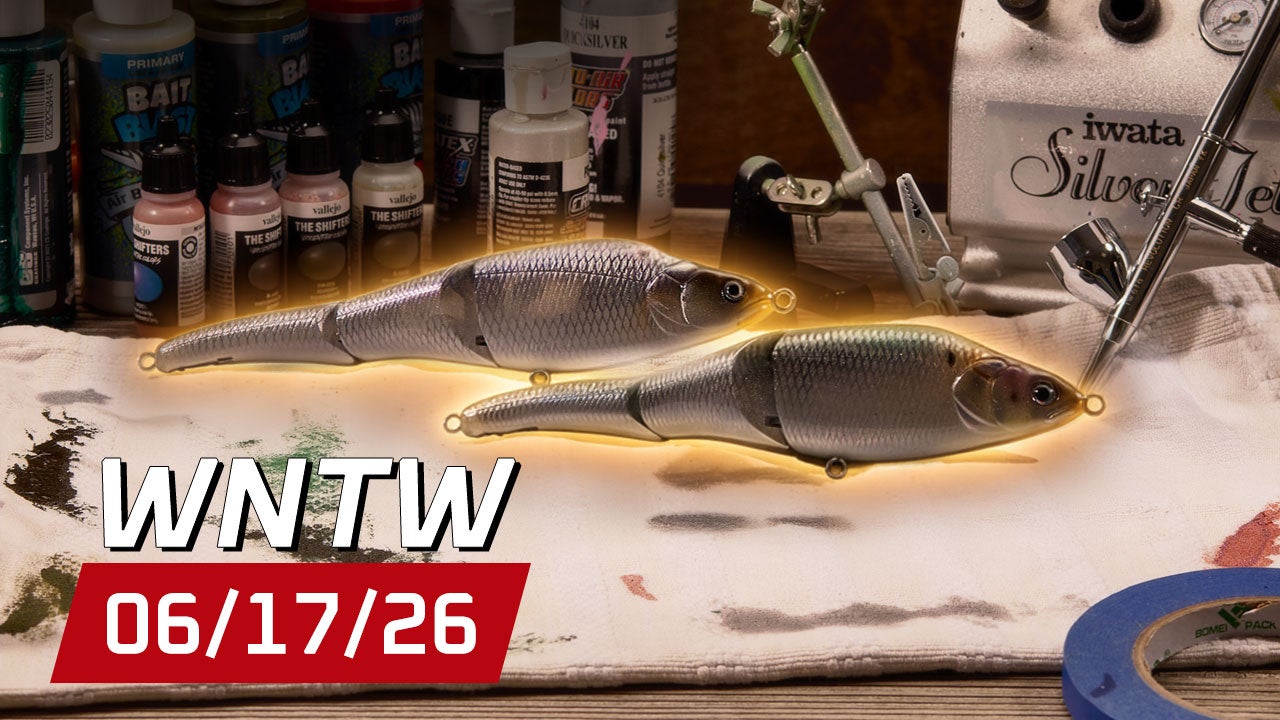 What's New at Tackle Warehouse 6/17/26