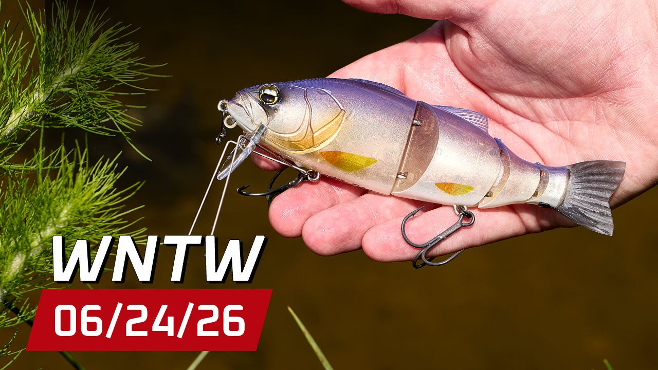 What's New at Tackle Warehouse 6/24/26
