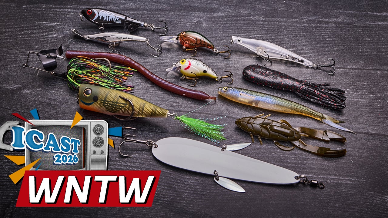 What's New at Tackle Warehouse 7/8/26