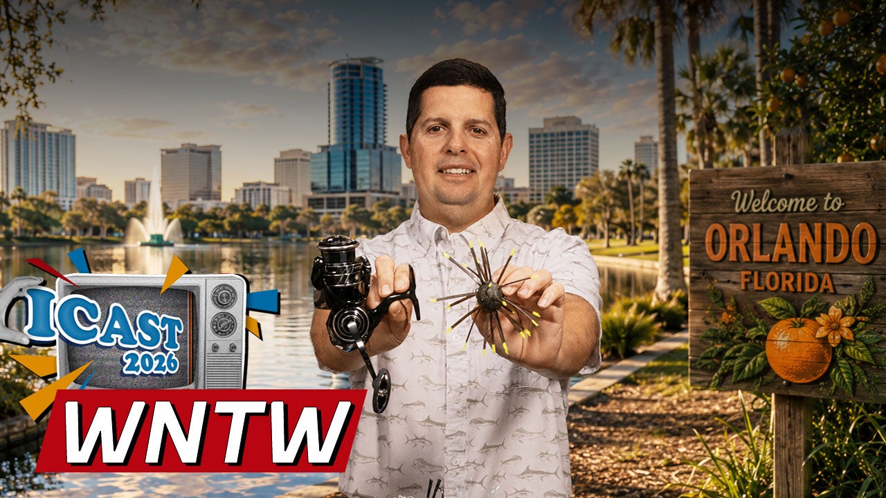 What's New at Tackle Warehouse 7/15/26