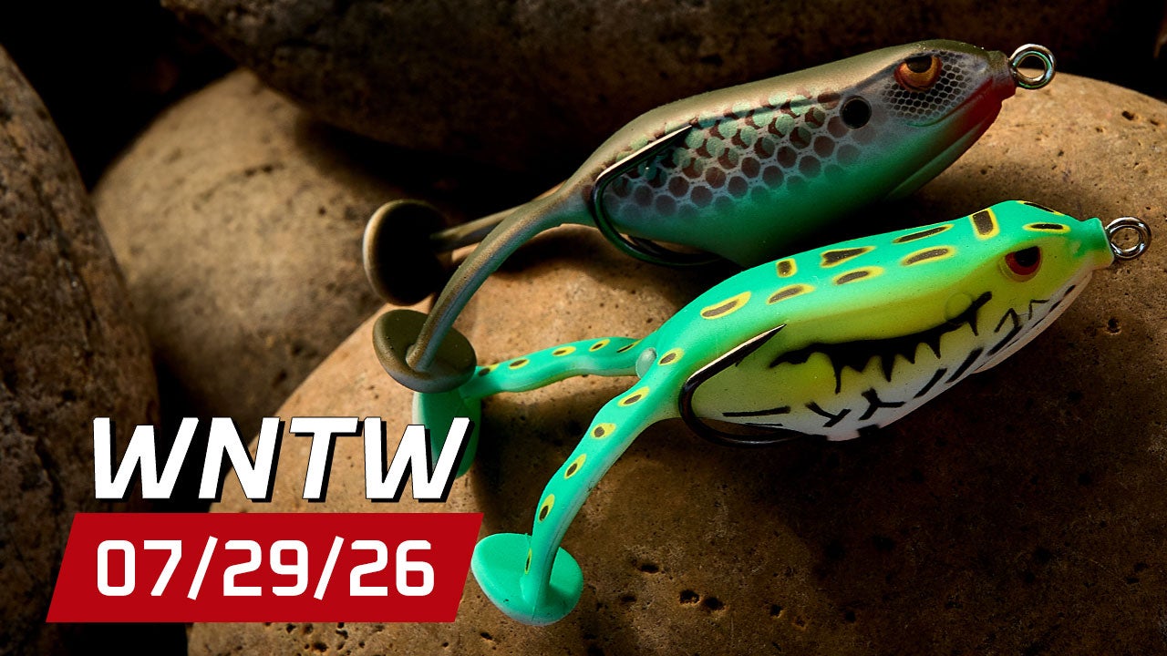 What's New at Tackle Warehouse 7/29/26