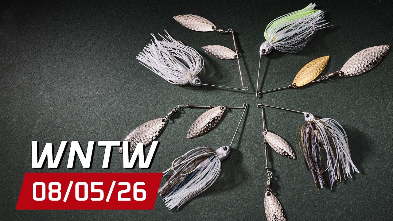 What's New at Tackle Warehouse 8/5/26