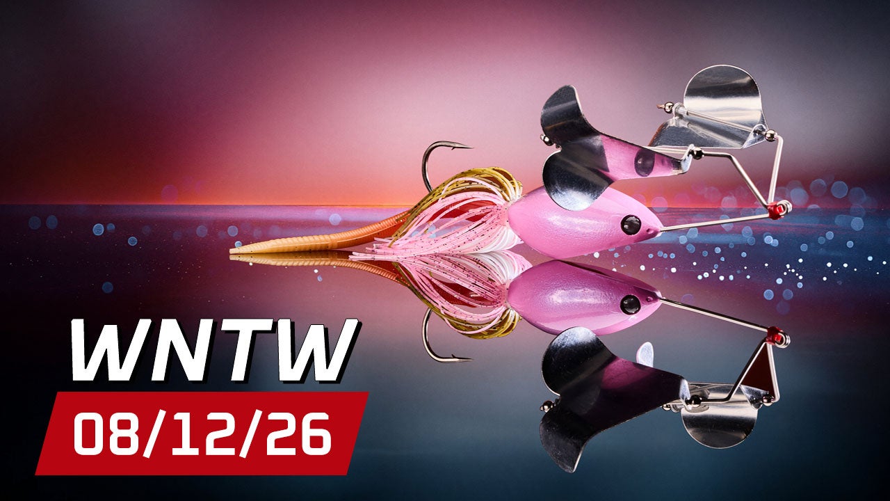 What's New at Tackle Warehouse 8/12/26