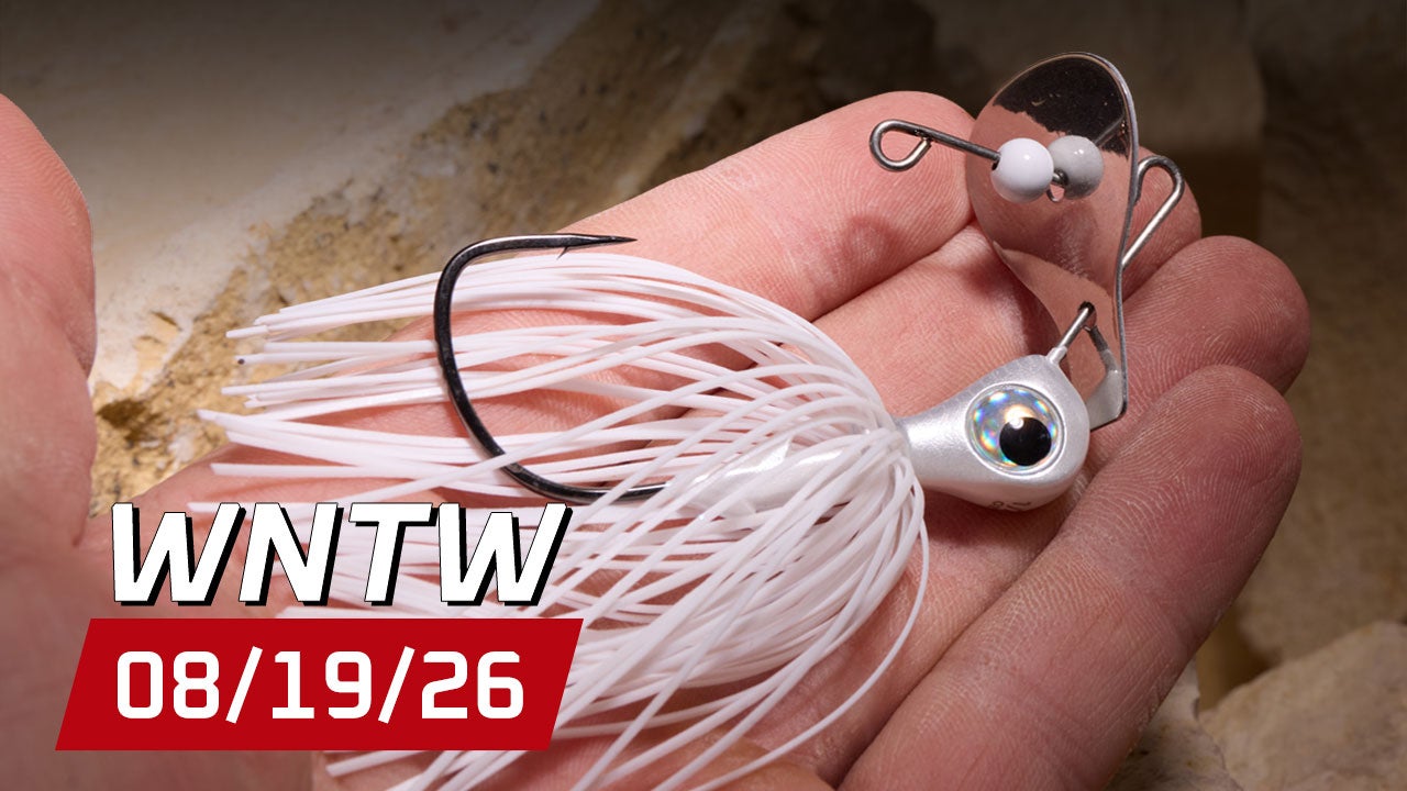 What's New at Tackle Warehouse 8/19/26