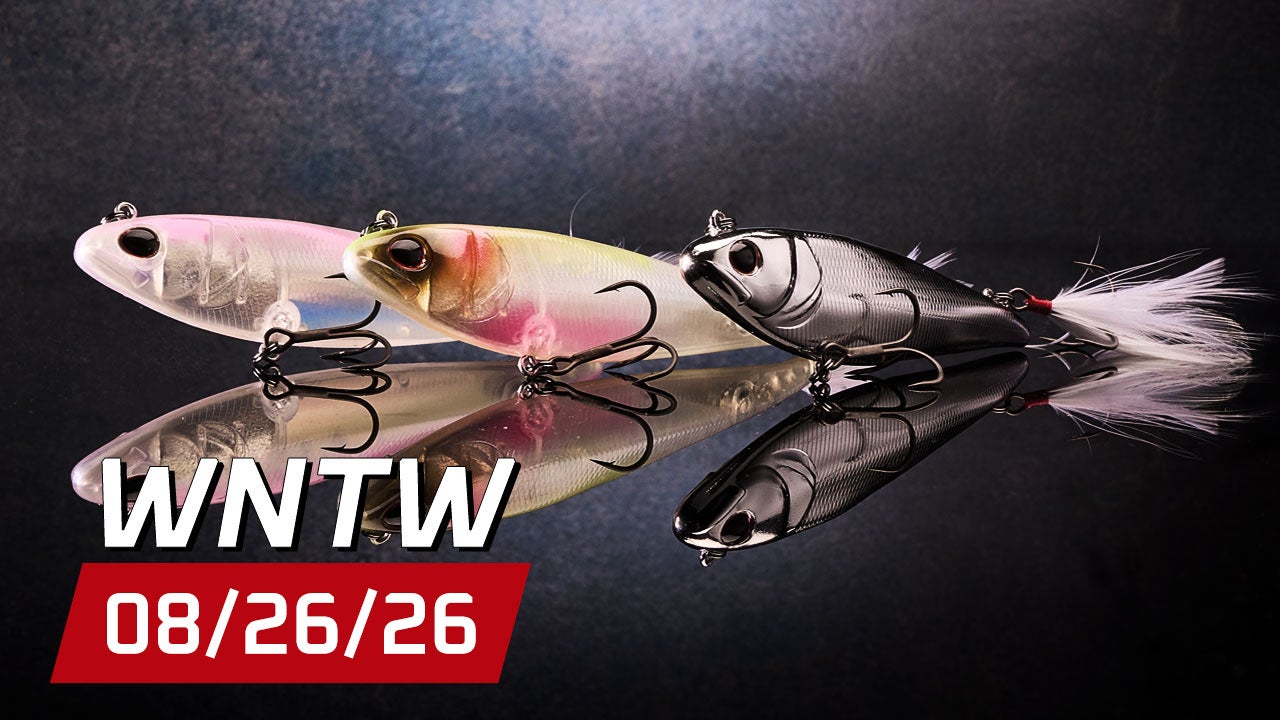 What's New at Tackle Warehouse 8/26/26
