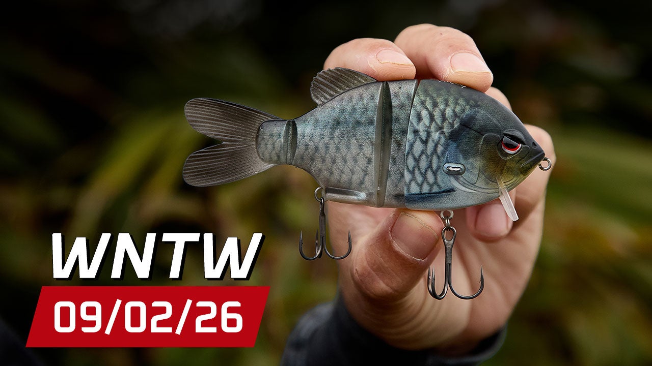 What's New at Tackle Warehouse 9/2/26