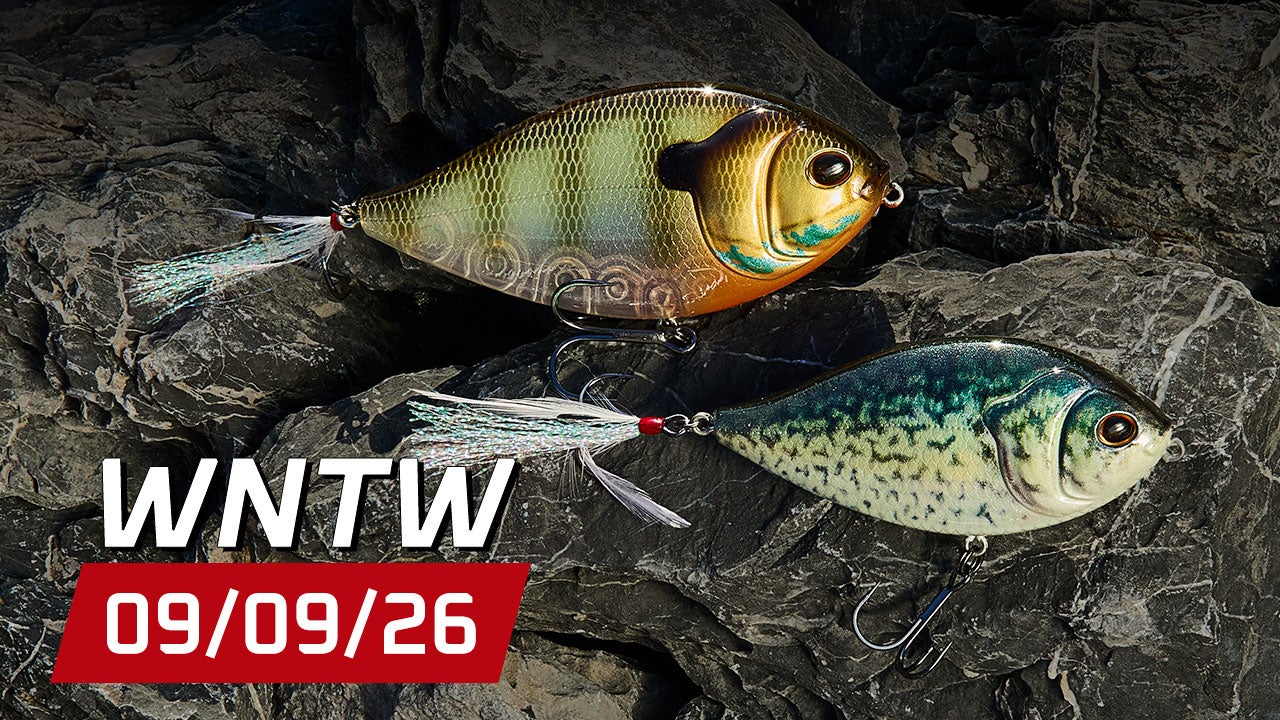 What's New at Tackle Warehouse 9/9/26