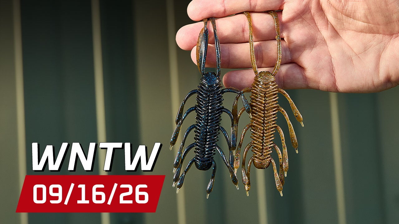 What's New at Tackle Warehouse 9/16/26