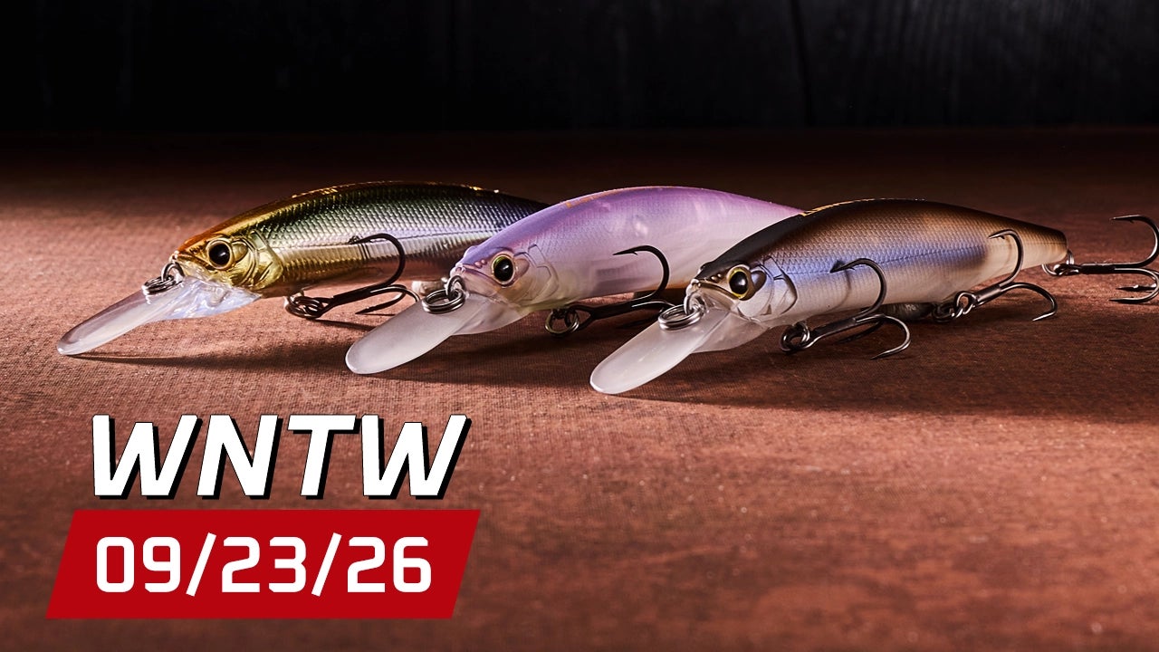 What's New at Tackle Warehouse 9/23/26