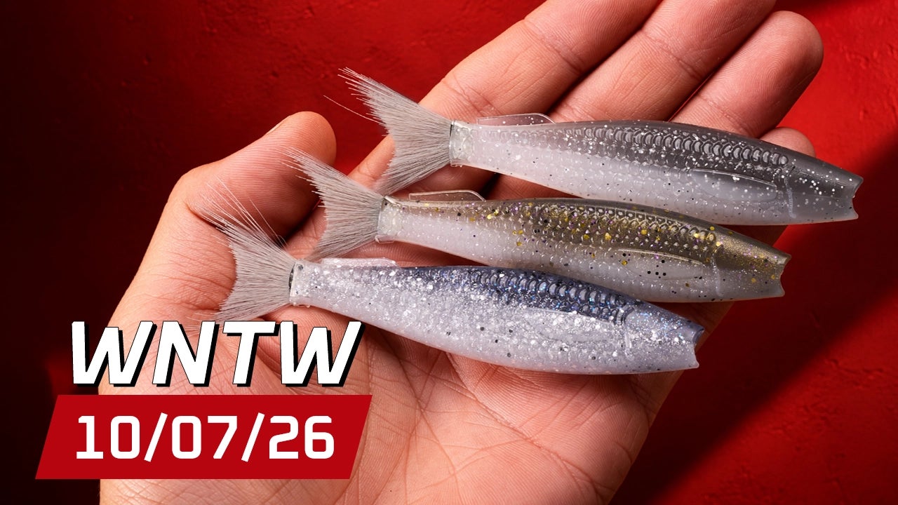 What's New at Tackle Warehouse 10/07/26