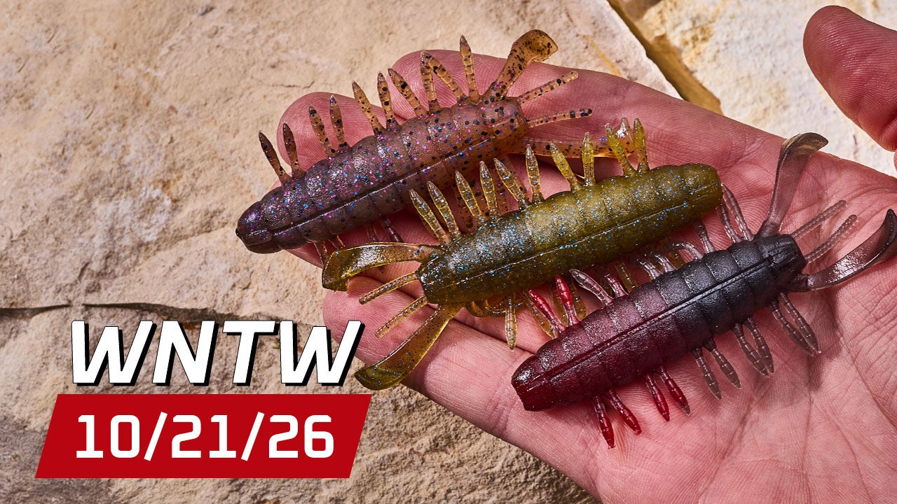 What's New at Tackle Warehouse 10/21/26