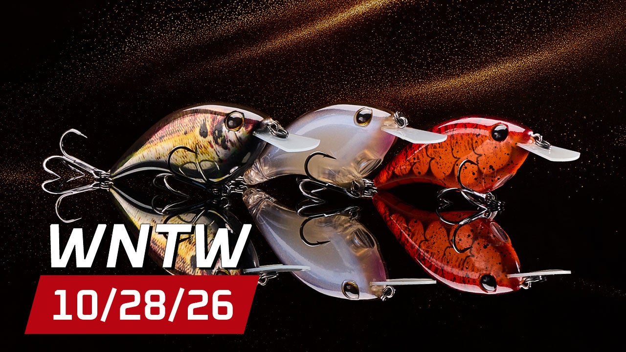 What's New at Tackle Warehouse 10/28/26