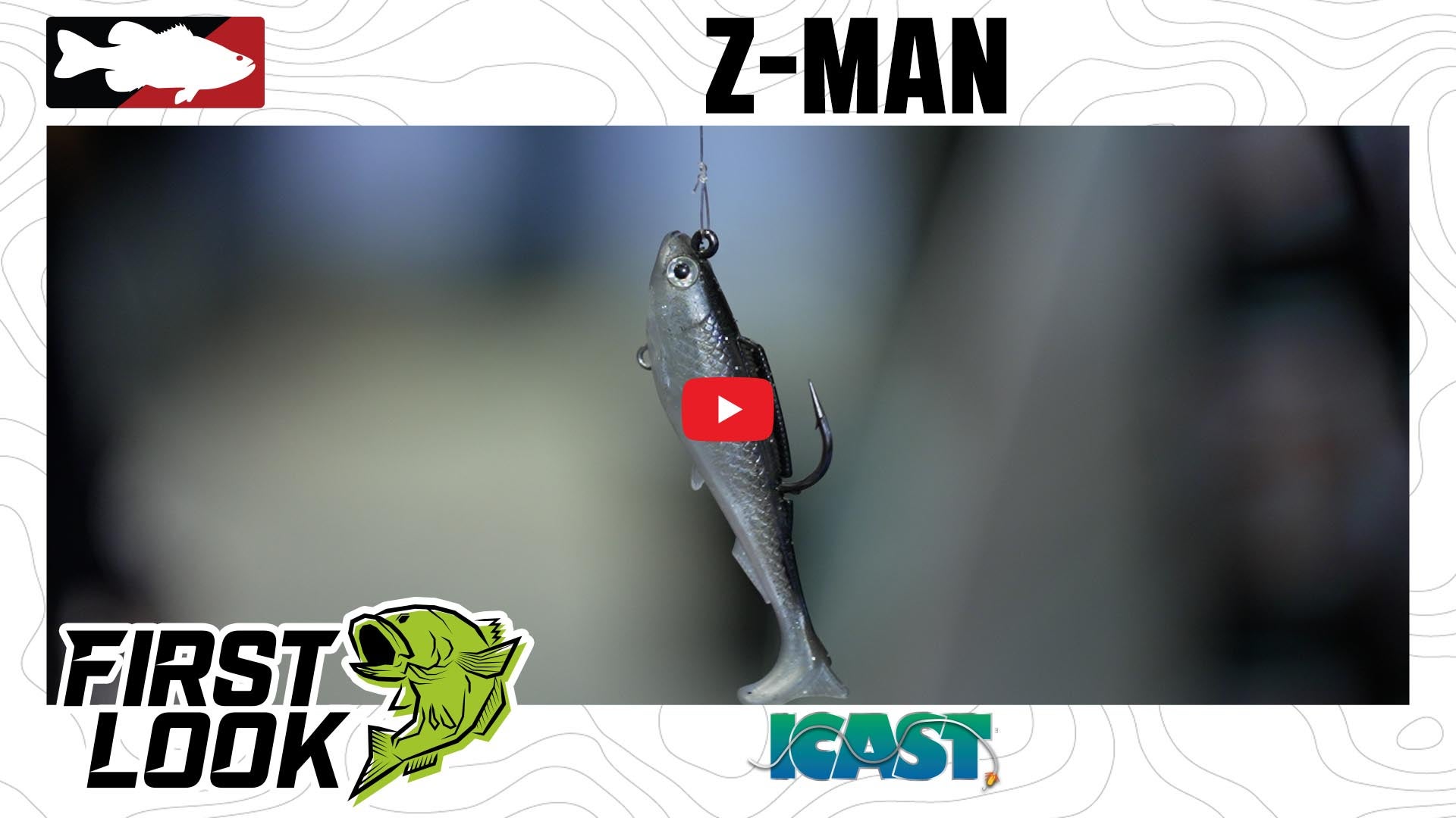 New Z-Man 3