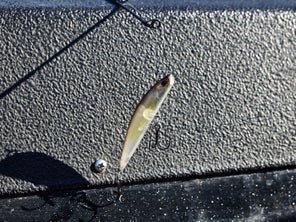 Lead nose