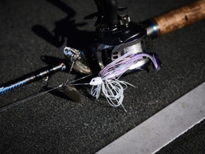 spinnerbait with rod and reel
