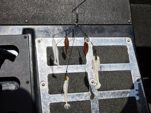 TB Screwed up jig Alabama rig
