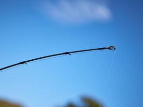 closeup of the tip with the micro guides