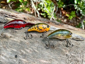 Three Evergreen Wild Hunch 5 crankbaits in a row sitting on a log.