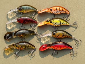 Eight Evergreen Wild Hunch 5 crankbaits in different colors sitting on a flat surface.