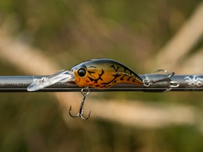 A craw-colored Evergreen Wild Hunch 5 crankbait secured to the hook keeper on a Daiwa Tatula Elite rod.