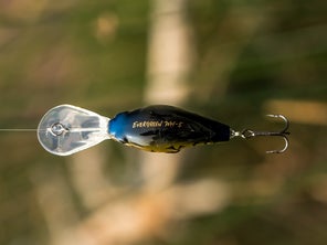 The top side of an Evergreen Wild Hunch 5 crankbait.