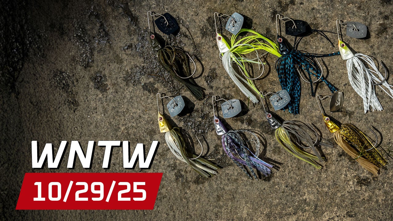 What's New at Tackle Warehouse 10/29/25